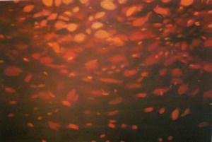 Chrysanthemum 2006 oil on canvas 122 x 183cms