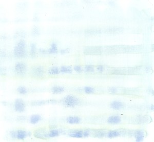 Abstract 44 2014 Gouache 9.5 x 9.5cms